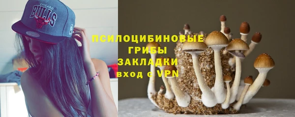 первитин Усинск