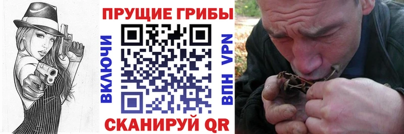 сколько стоит  Армавир  Галлюциногенные грибы мухоморы 