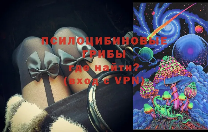 Псилоцибиновые грибы Psilocybine cubensis  Армавир 