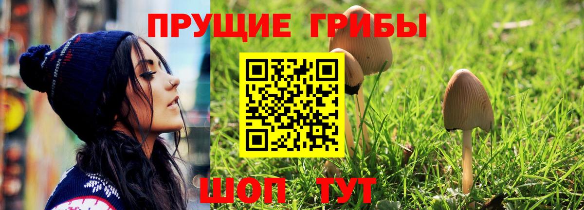 Галлюциногенные грибы прущие грибы Армавир